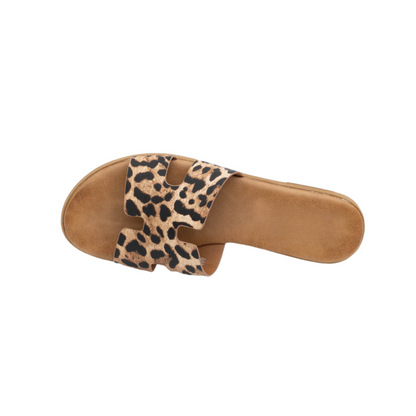 LEOPARD