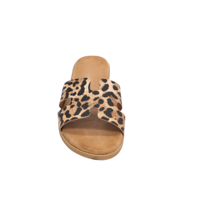 LEOPARD